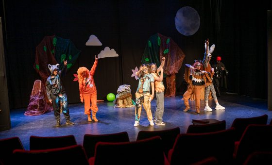 Средняя группа 8-13 лет